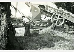 Battage, 1951 / Visuel : D.R.