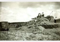 Battages à Chalézac, 1951 - 03 / Visuel : D.R.
