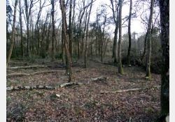 Visuel : D.R. Bois de l'Éguille