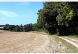 Bois de Madame / Visuel : D.R.