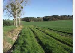 Visuel : D.R. Le Coureau de la Grande Motte