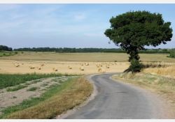 Le Grand Breuil - La Route / Visuel : D.R.