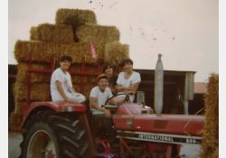 Tracteur paille, 1980 / Visuel : D.R.