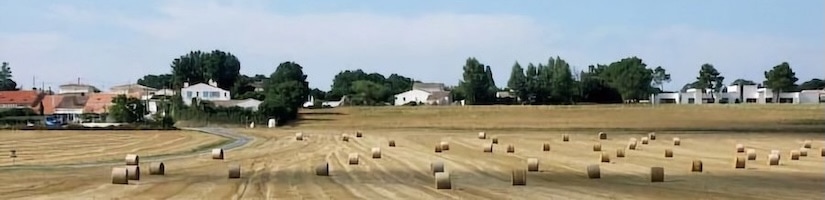 Taupignac