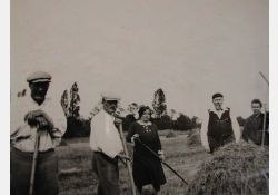 1932, on faisait alors les foins en famille / Visuel : D.R.