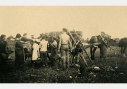 1941-1942 - Belle journée de vendanges au domaine de Taupignac - 05 / Visuel : D.R.