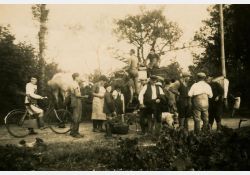 1941-1942 - Belle journée de vendanges au domaine de Taupignac - 09 / Visuel : D.R.