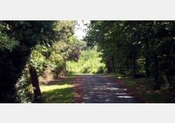 Allée des chênes, en prolongement de la Rue Abel Guérin, jusqu'à la D14 / Visuel : D.R.