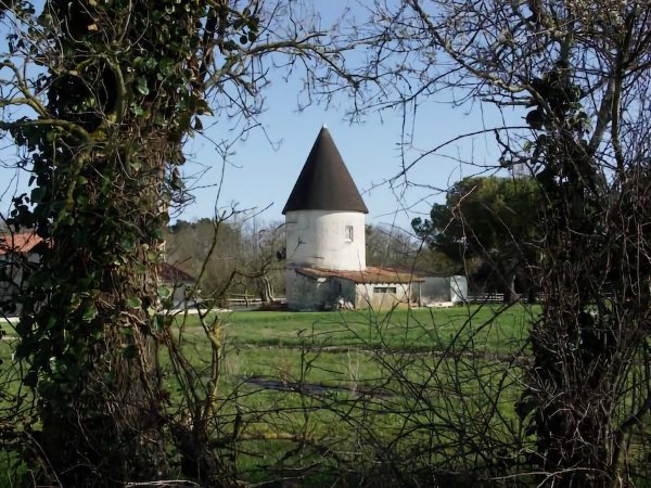 Allée du Moulin / Visuel : D.R.