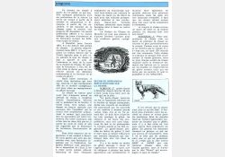 Article consacré à la chasse dans « Vivre à Breuillet » - 02 / Visuel : D.R.