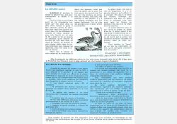 Article consacré à la chasse dans « Vivre à Breuillet » - 03 / Visuel : D.R.
