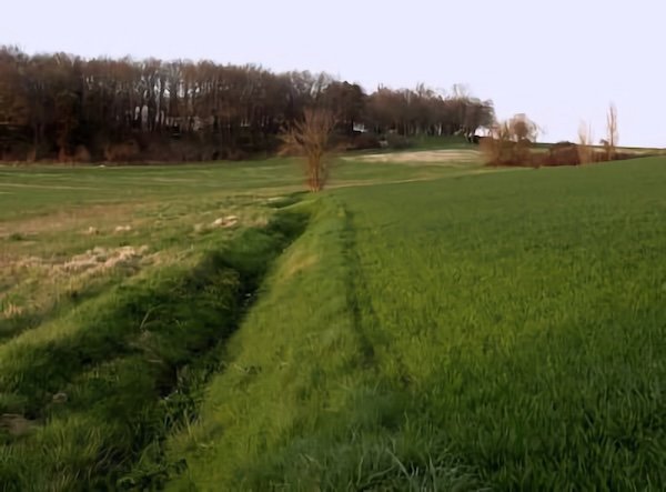Au Dugua, ruisseau du Château vert / Visuel : D.R.