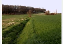 Visuel : D.R. Au Dugua, ruisseau du Château vert