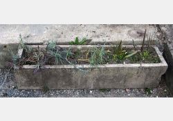 Auge à cochon, devenue jardinière / Visuel : D.R.