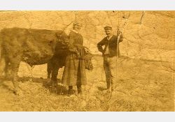 Bœufs et paysan, 1924 / Visuel : D.R.