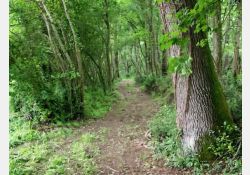 Bois du Clos / Visuel : D.R.