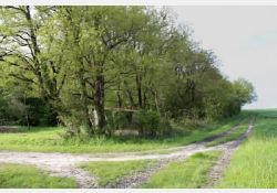 Chalézac - Le Bois, à l'ouest du hameau / Visuel : D.R.