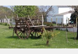 On trouve encore des charrettes dans nos jardins / Visuel : D.R.