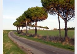 Chemin des Métairies
