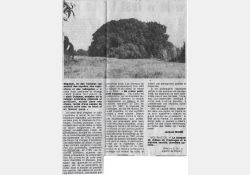 Chênaie de Coulonges - Article de Sud-Ouest, 1978 - 02 / Visuel : D.R.