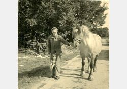 Cheval au Billeau - 01 / Visuel : D.R.