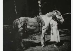 Le cheval, compagnon fidèle de la femme, l'homme et l'enfant. / Visuel : D.R.