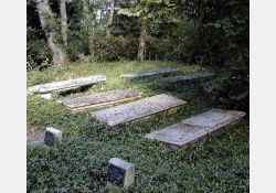Cimetière dans la chênaie de Coulonges, site inscrit à l'inventaire historique en 1977 / Visuel : D.R.