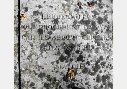 Cimetière dans la chênaie de Coulonges, site inscrit à l'inventaire historique en 1977 / Visuel : D.R.