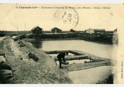 Claires à huîtres, aux Grandes Roches (Étaules) / Visuel : D.R.