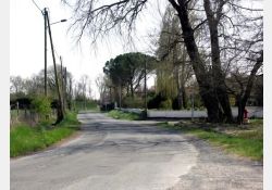 Coulonges - 01