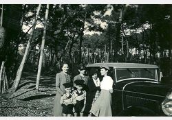 En auto pour une promenade en forêt