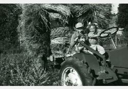 Enfants sur un tracteur / Visuel : D.R.