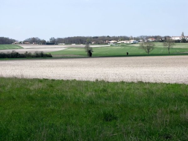 Fief d'Envie / Visuel : D.R.