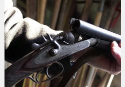 Fusil à chiens / Visuel : D.R.