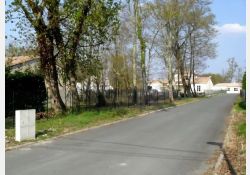 Guillaumine