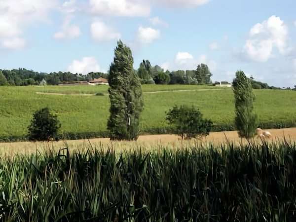 L'Aubuge / Visuel : D.R.