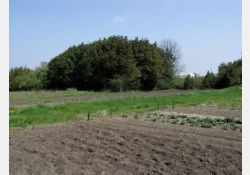 La Chaume, La Chaune