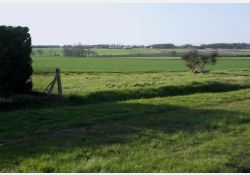 La Combe de Taupignac