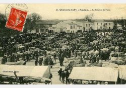 La foire de Saujon / Visuel : D.R.