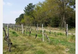 La Garenne - 01 / Visuel : D.R.