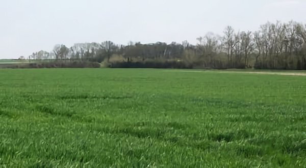 La Grosse Pierre, route conduisant de La Tremblade à Saujon / Visuel : D.R.