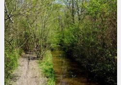 La Moinerie