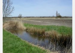La Motte à Ratier