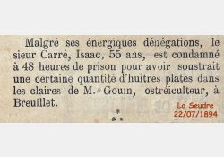 La Seudre - Vol d'huîtres à Breuillet, 1894 / Visuel : D.R.