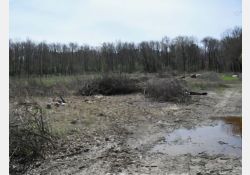 La Touche Garnie - 02