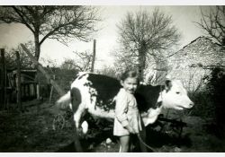 La vache et l'enfant / Visuel : D.R.