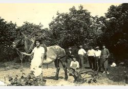 Visuel : D.R. Labours, 1935