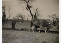 Labours, 1943 / Visuel : D.R.