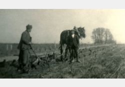 Labours à Taupignac, 1941 - 01 / Visuel : D.R.
