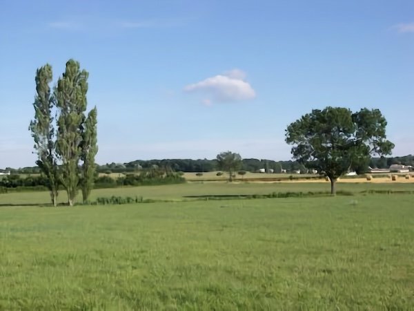 Le Barbeau / Visuel : D.R.